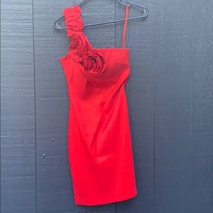 NWT AX gorgeous rose dress